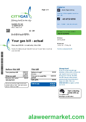 Singapore City Gas business utility bill template, fully editable in PSD formats
